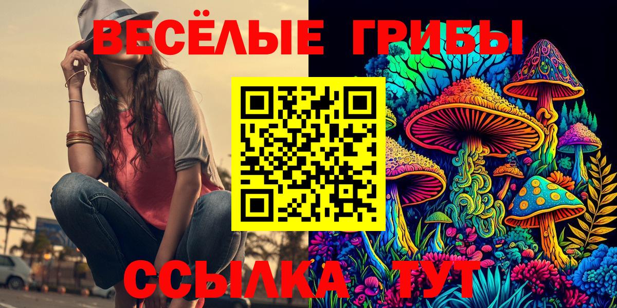 Псилоцибиновые грибы Cubensis Зима