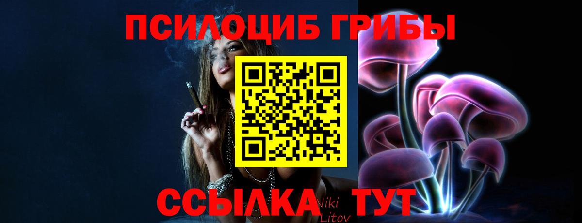 Псилоцибиновые грибы мухоморы  Вход с VPN  Зима 